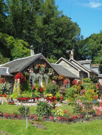 My Favorite Garden Metaphors