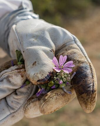 Top-Selling Thorn-Proof Gardening Gloves