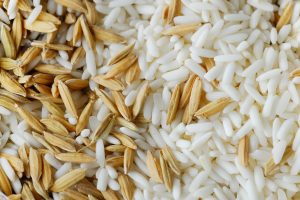 Rice Hulls