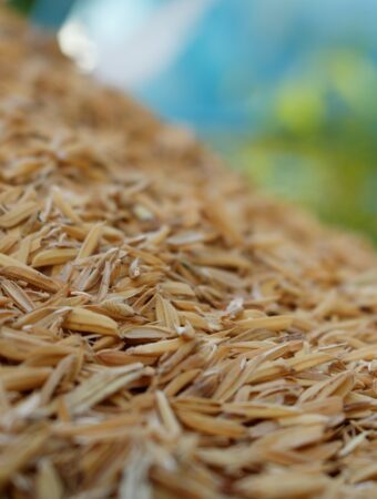 rice hull