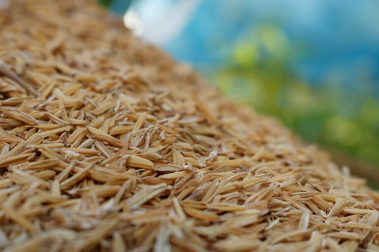 rice hull