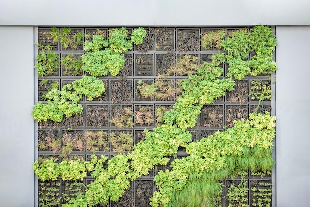 Mastering the Art of Espalier: 8 Creative Ways to Shape Your Garden