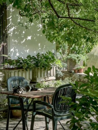 Sometimes It's Nice to Visit Someone Else's Garden