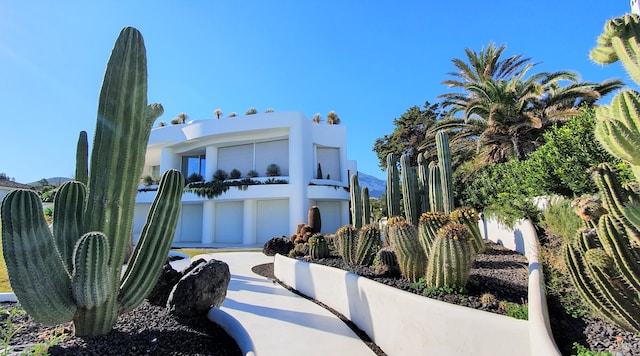 Garden Designs I Want to Learn More About