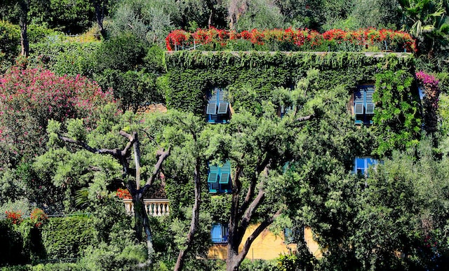 Frugal Garden Ideas from Italian Renaissance Gardens
