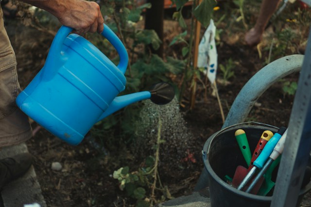 Gardening Supplies You Can Get at Dollar Tree