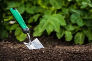 Common Mistakes That Can Ruin Your Garden