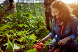 Community Gardening Sharing the Green