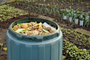 Composting Turning Waste into Wealth