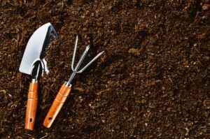 Diatomaceous Earth
