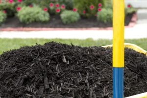Don’t Forget Mulch