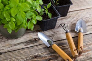 Embracing These Low-Maintenance Gardening Tips for Busy Millennials