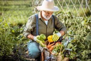 Add These Nutrient-Dense Vegetables to Your Garden Today!