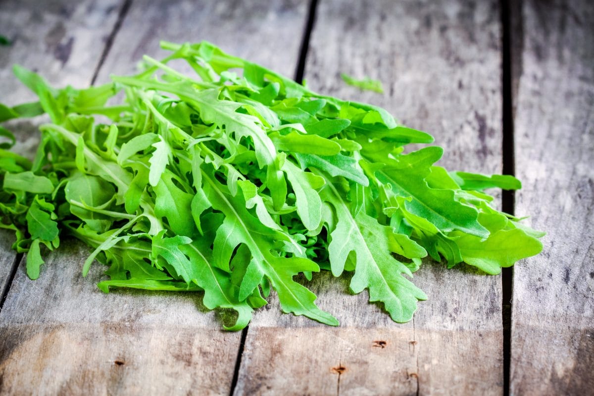 Angula Vegetable 14 Nutrient-Dense Vegetables to Grow in Your Garden - Frugal Gardening