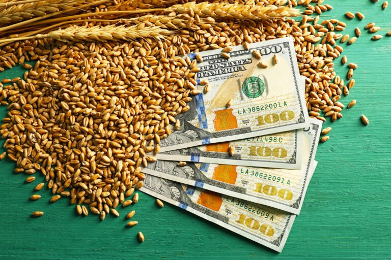 Don't Buy Seeds From Monsanto—Buy From These 10 Companies Instead
