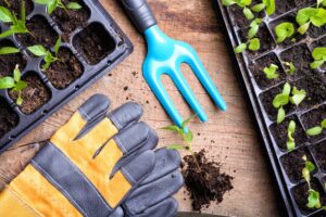 Don’t Fall for Bad Gardening Advice