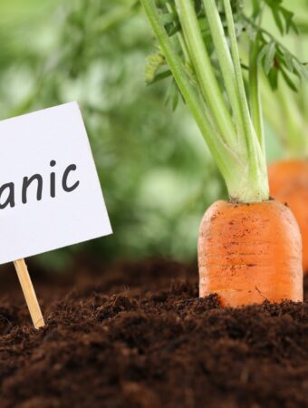 Enhance Your Garden Naturally with These Top 5 Organic Fertilizers