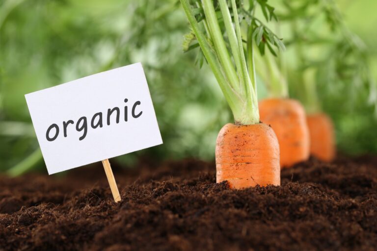 Enhance Your Garden Naturally with These Top 5 Organic Fertilizers