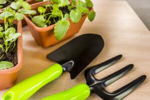 Growing Tips for Beginner Gardeners