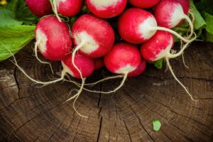 Radishes The Speedy Edibles