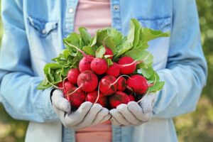 Try Out the Fast Growing Seeds for Beginner Gardeners Today!