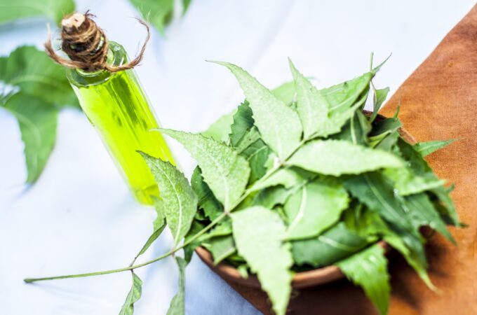9 Benefits of Neem Oil for Plant Health