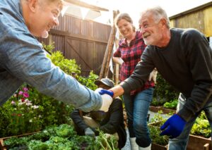 Cultivating Knowledge The Top 7 Gardening Podcasts to Enrich Your Green Thumb