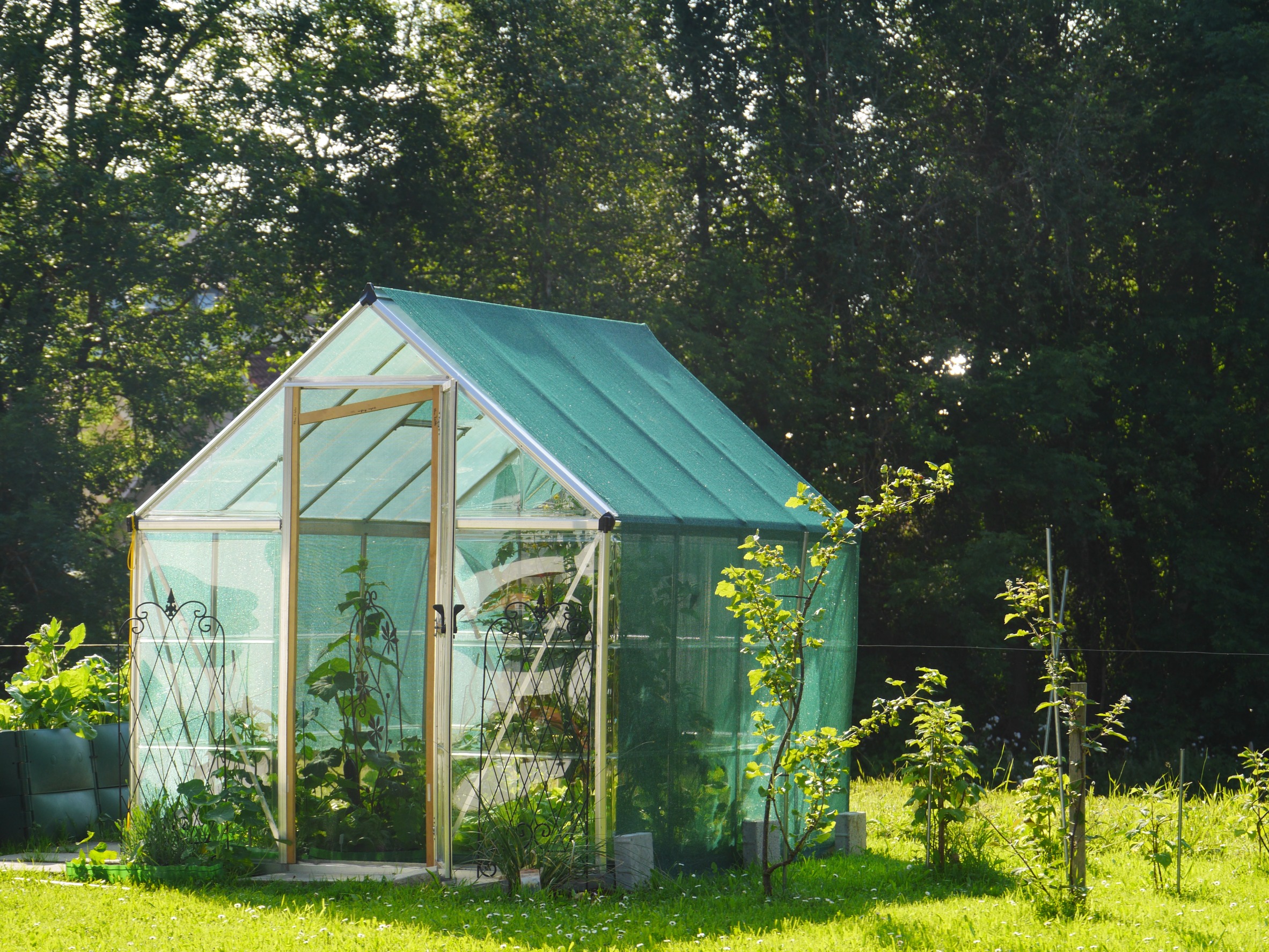 Greenhouse Kit