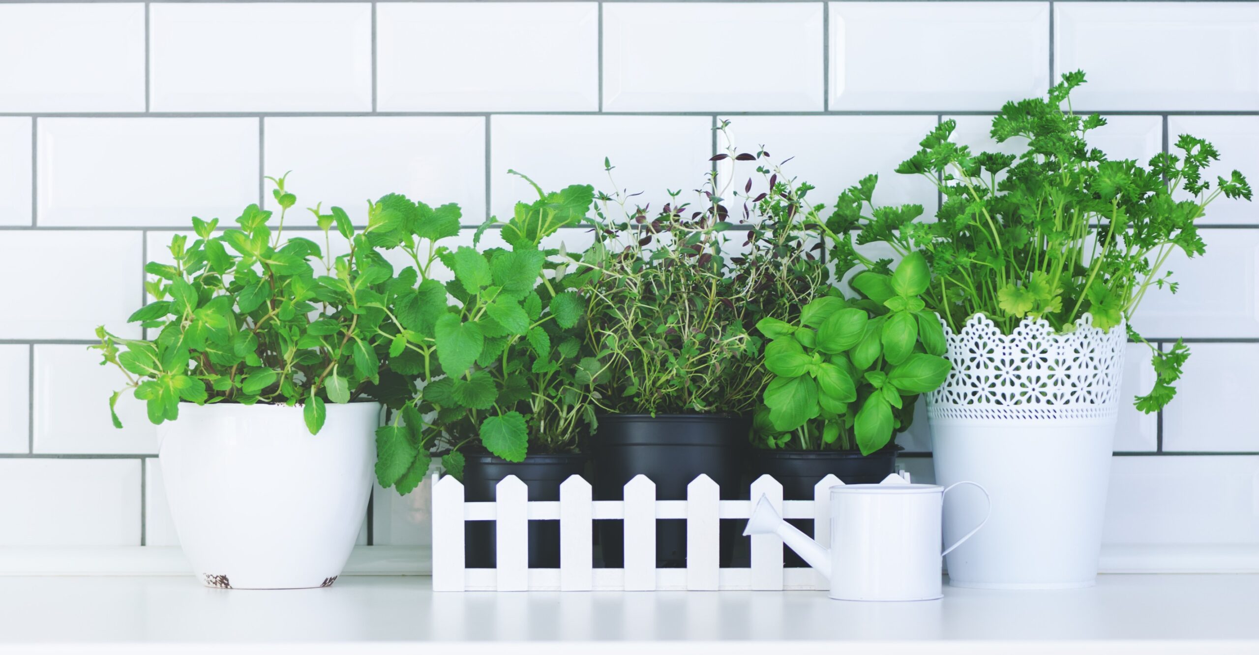 Indoor Herb Garden Kit