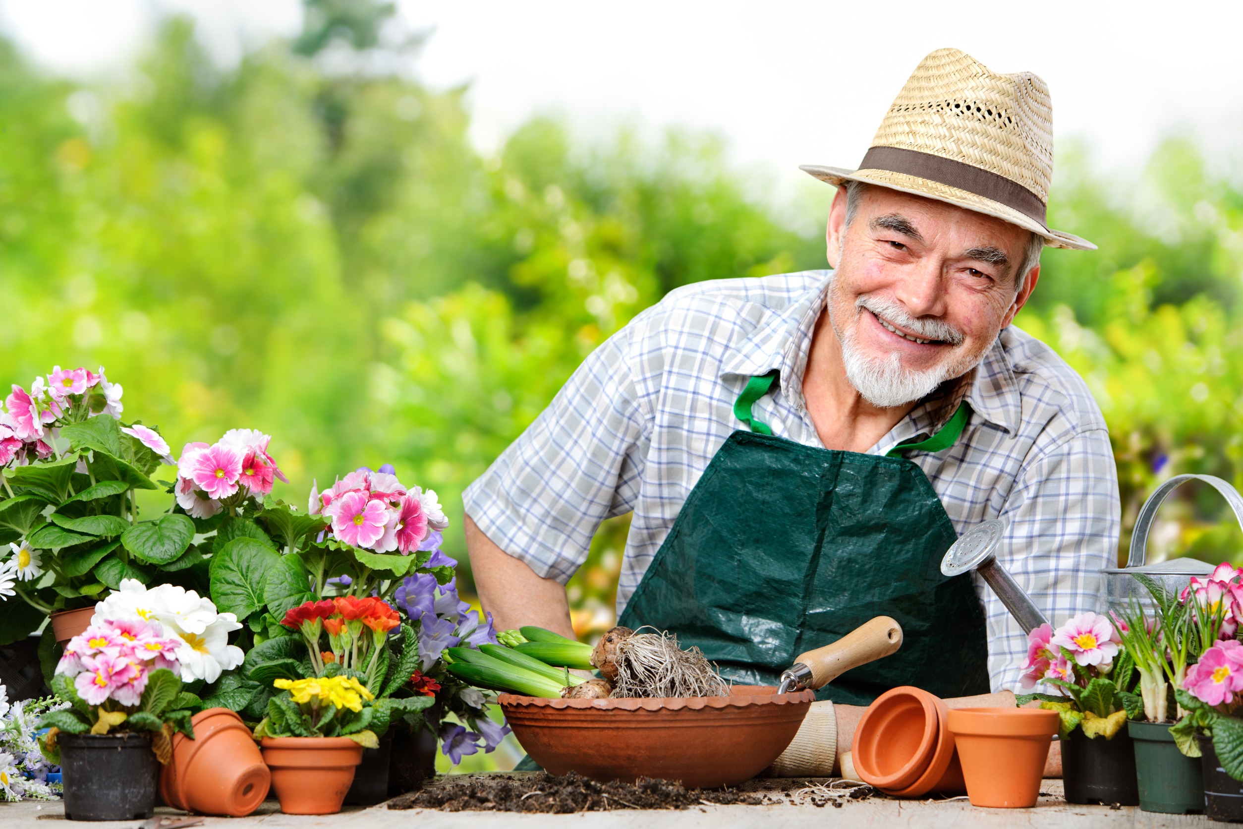 Top 10 Best Gardening Gifts for Every Green Thumb