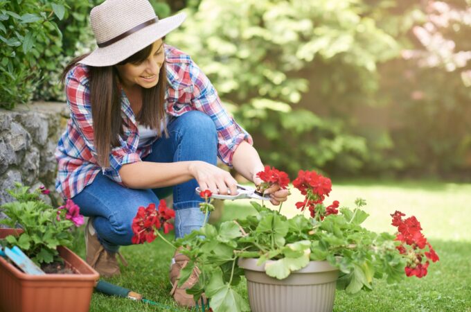 Top 15 Best Gardening Gifts
