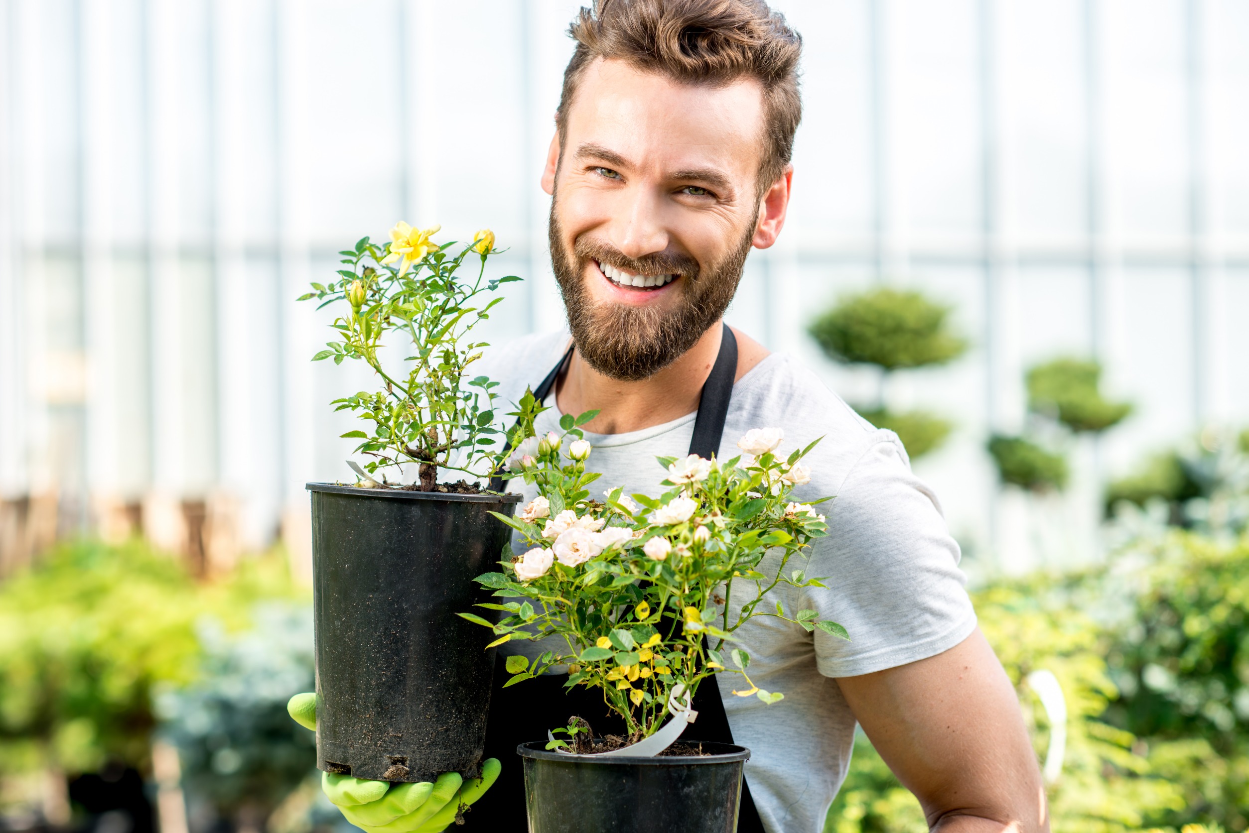 Revive Your Dying Plants Today!