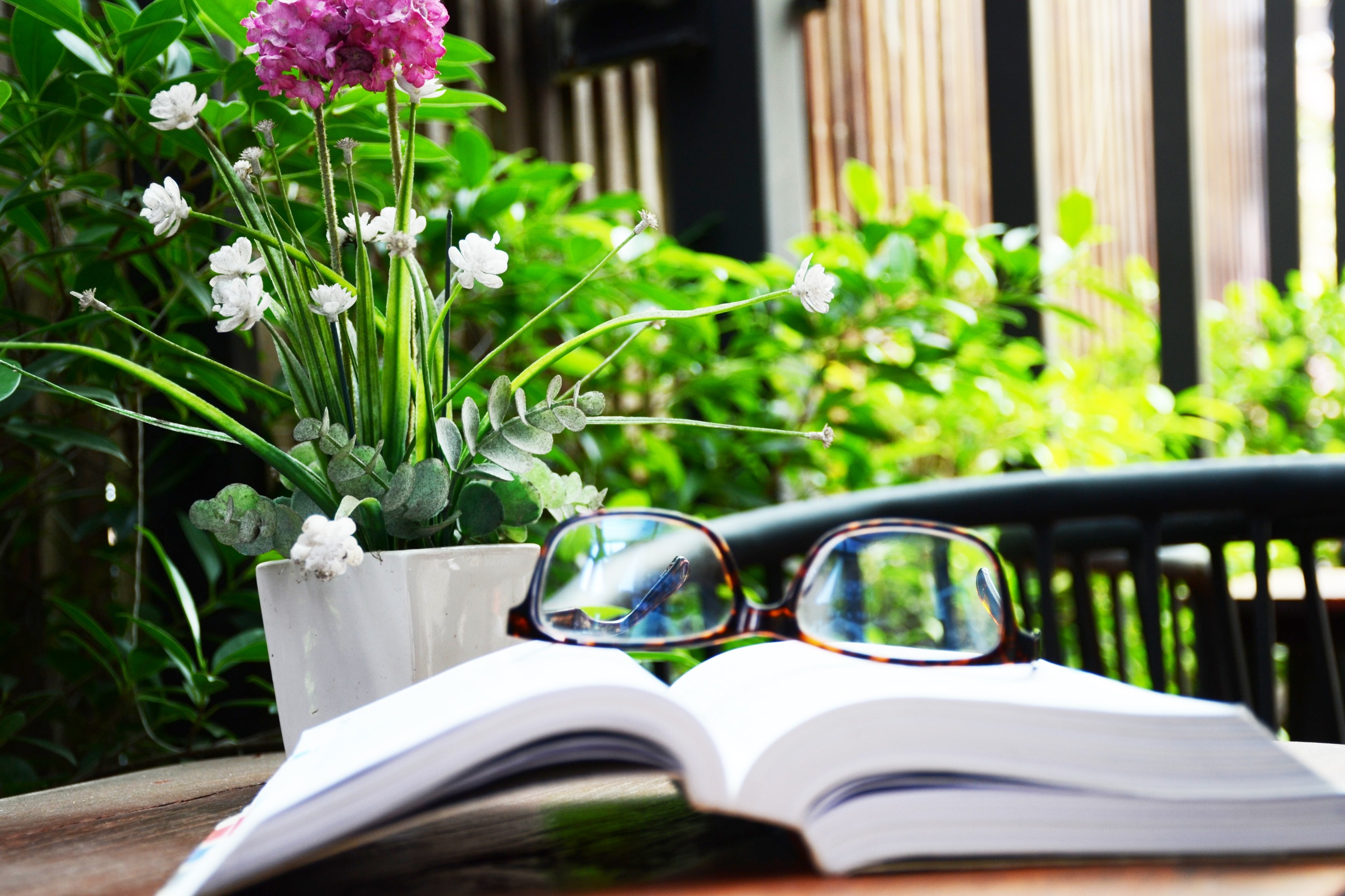The Complete Houseplant Survival Manual by Barbara Pleasant