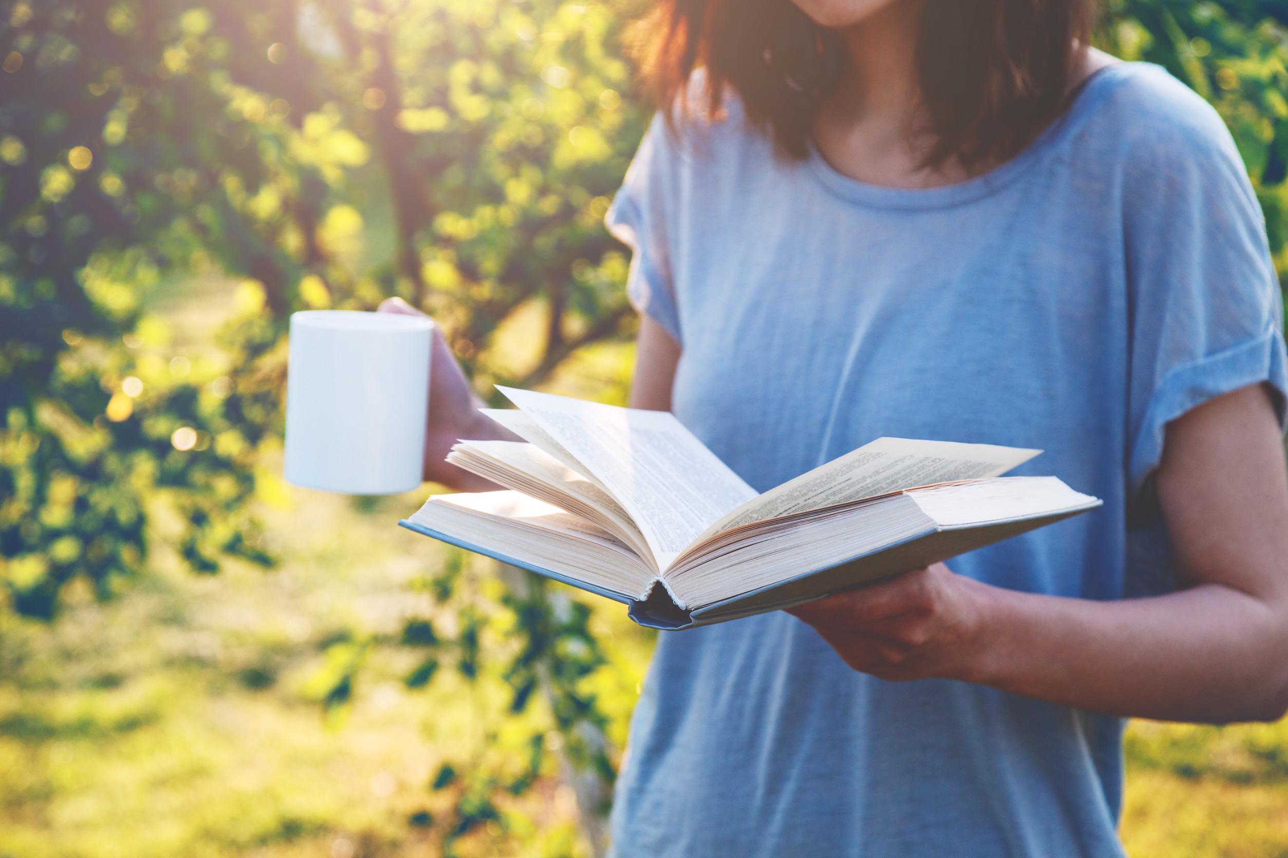 The New Gardener’s Handbook by Daryl Beyers
