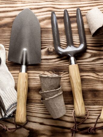 Top 10 Cheap Gardening Tools That Every Gardener Needs in Their Shed
