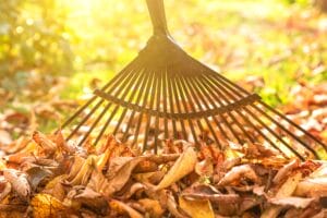 Turn a Rake into a Multi-Purpose Tool Holder