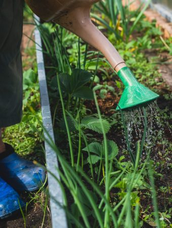 where to buy cheap gardening supplies