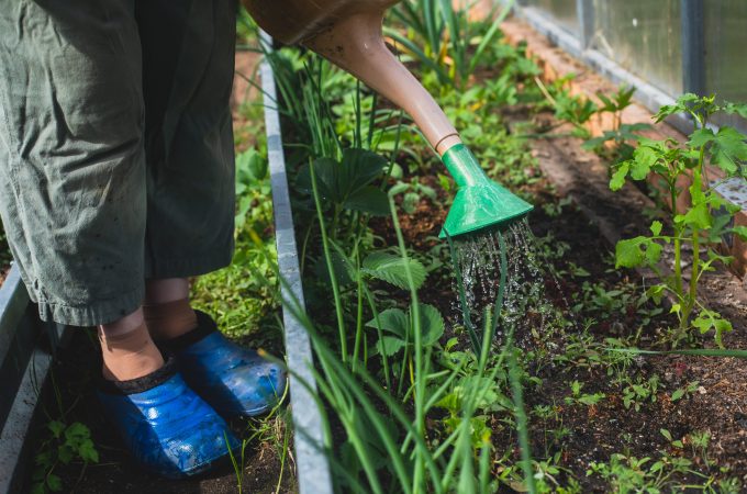 where to buy cheap gardening supplies