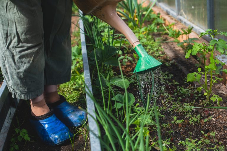 where to buy cheap gardening supplies