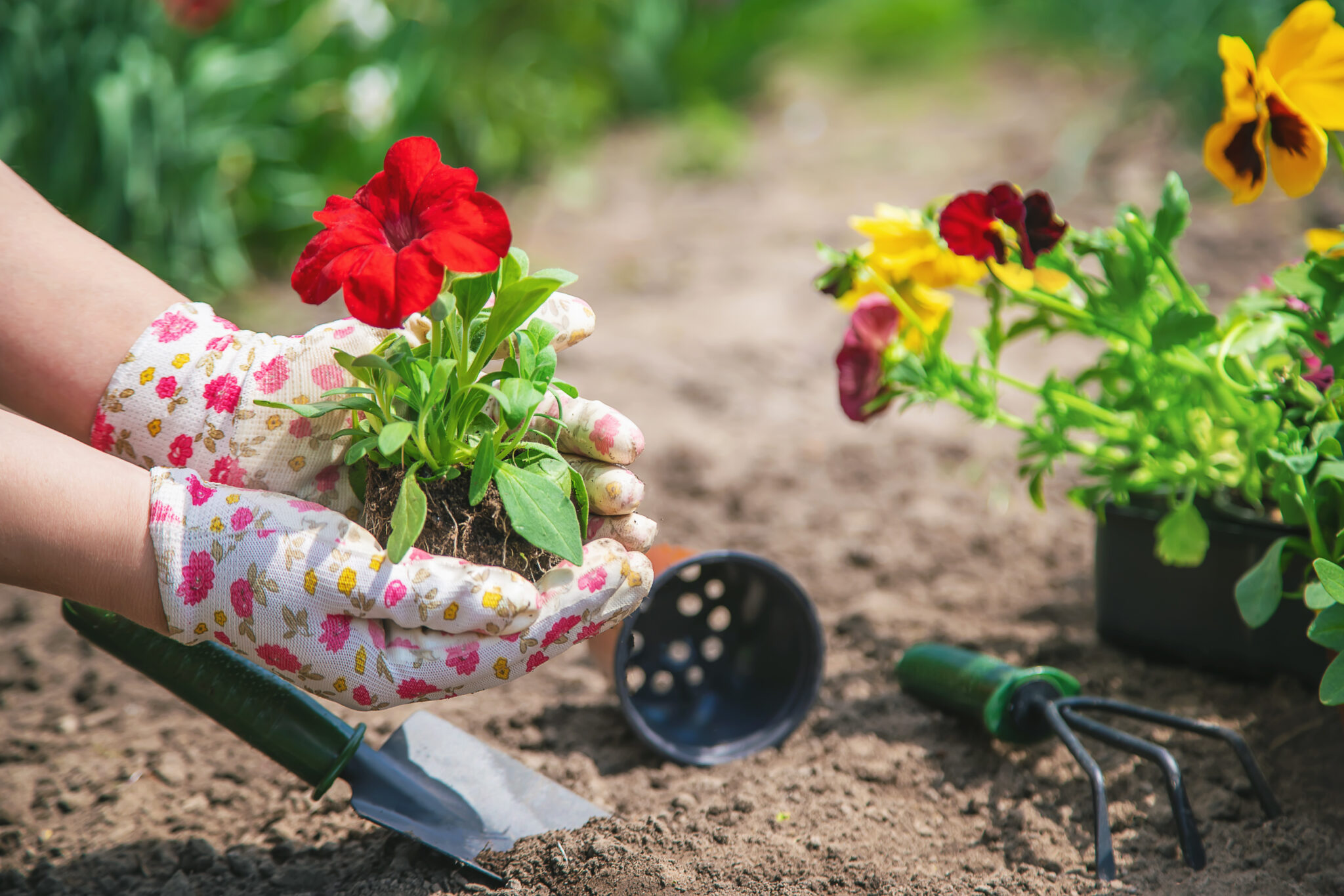 8 Of The Best Gardening Gifts For Your GreenThumb Friends
