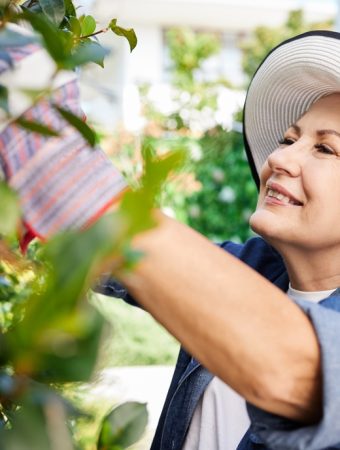 cheap gardening tools