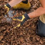 shredded paper as mulch