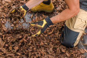 shredded paper as mulch