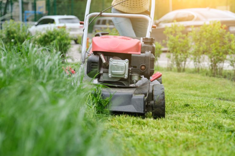 Lawn mower cutting green grass, gardener with lawnmower working, city courtyard of an apartment building