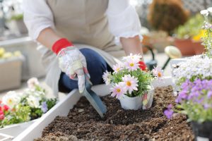 Gardening