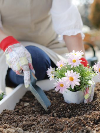 Gardening
