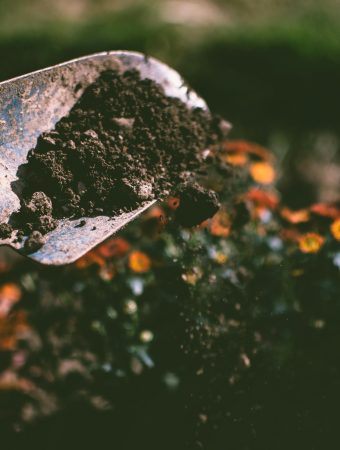 Gardening hacks to save money