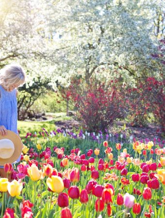frugal gardening tips