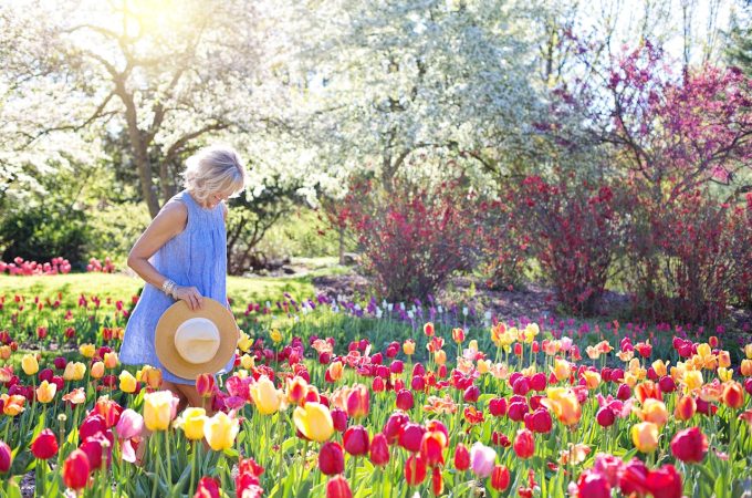 frugal gardening tips
