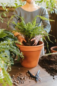 DIY Planter Ideas